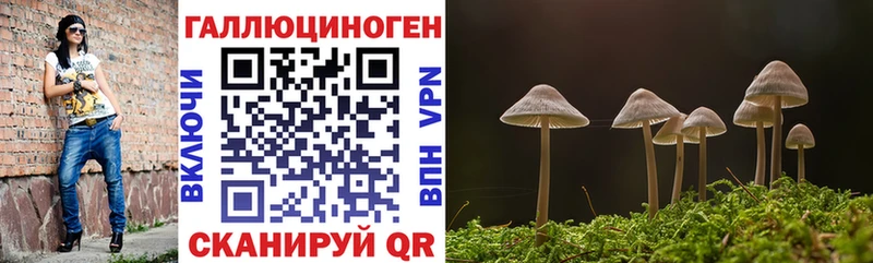 Галлюциногенные грибы прущие грибы  Чадан 